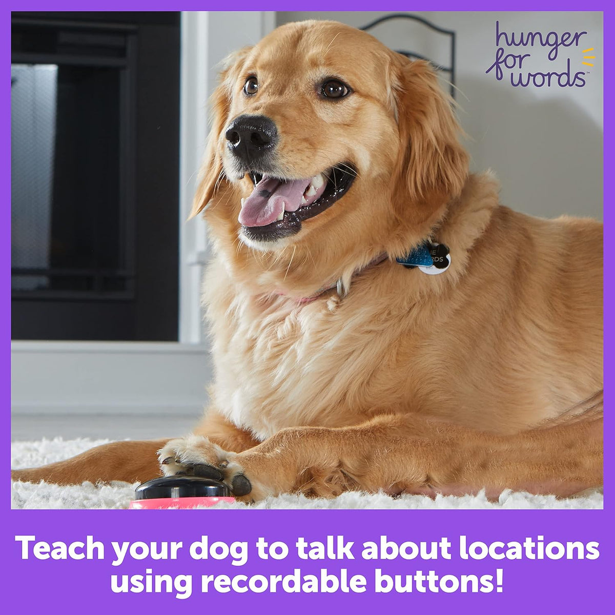 3 Piece Set of Recordable Speech Buttons for Dogs R148