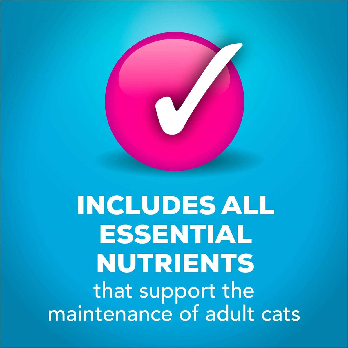 Wet Cat Food with Ocean Fish, Tuna, and Scallop S873066