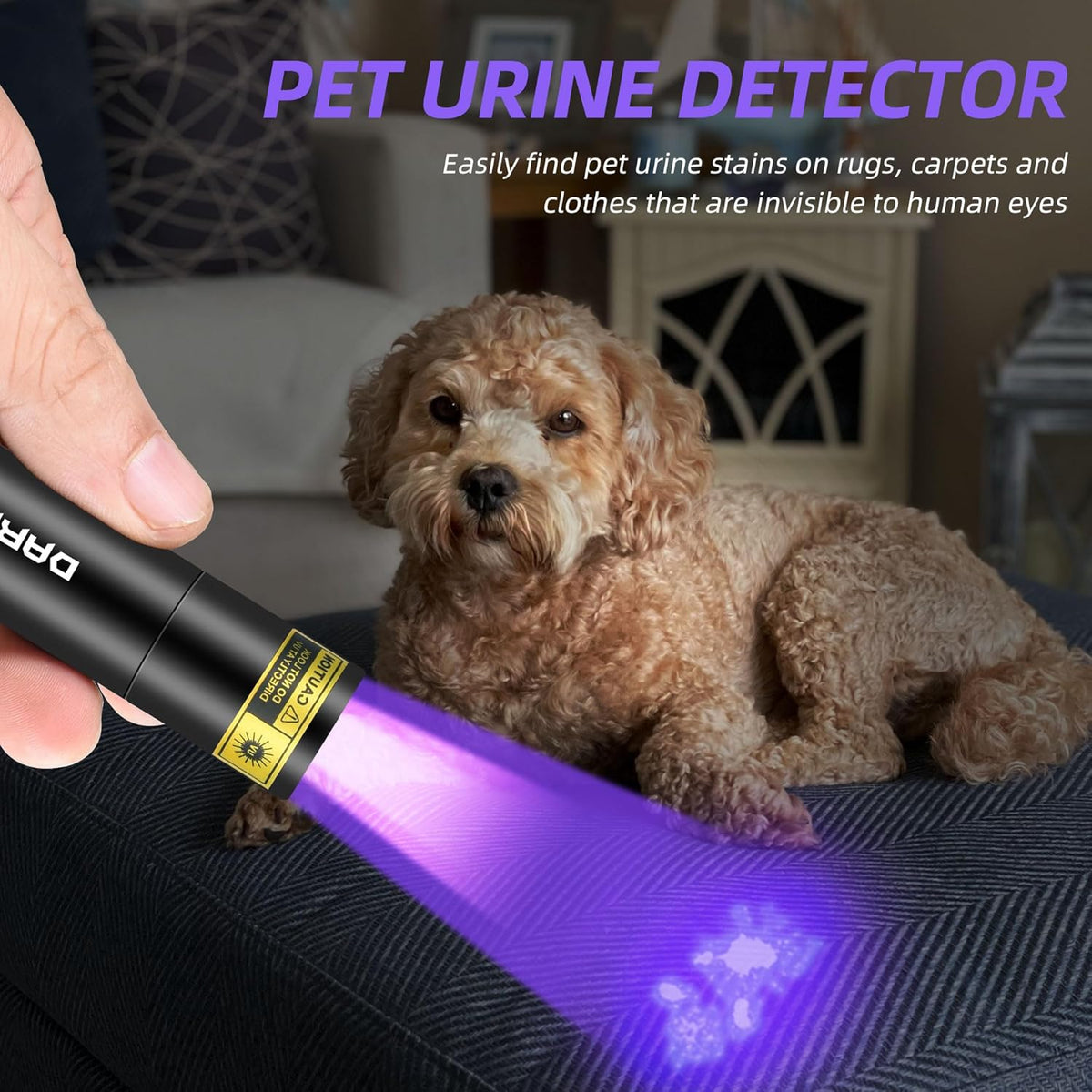 395nm UV Flashlight USB-C LED Rechargeable Blacklight U897