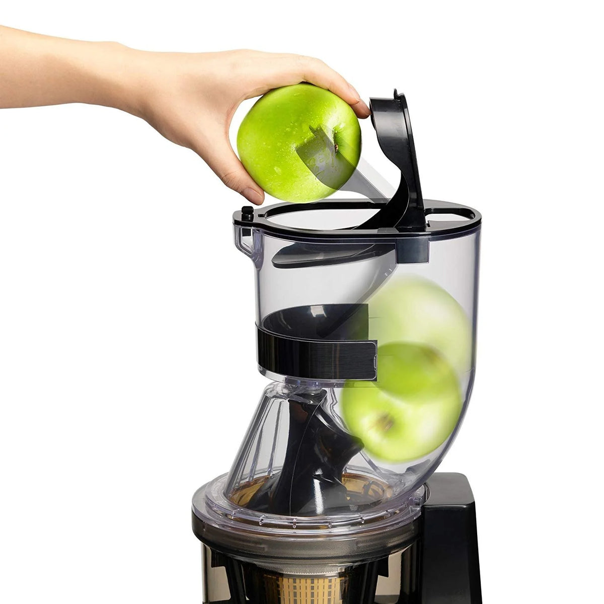 Stainless Steel Whole Slow Juicer C999942