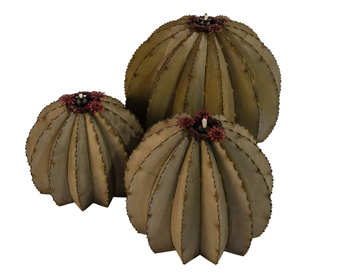 Golden Barrel Cactus Torch C3927