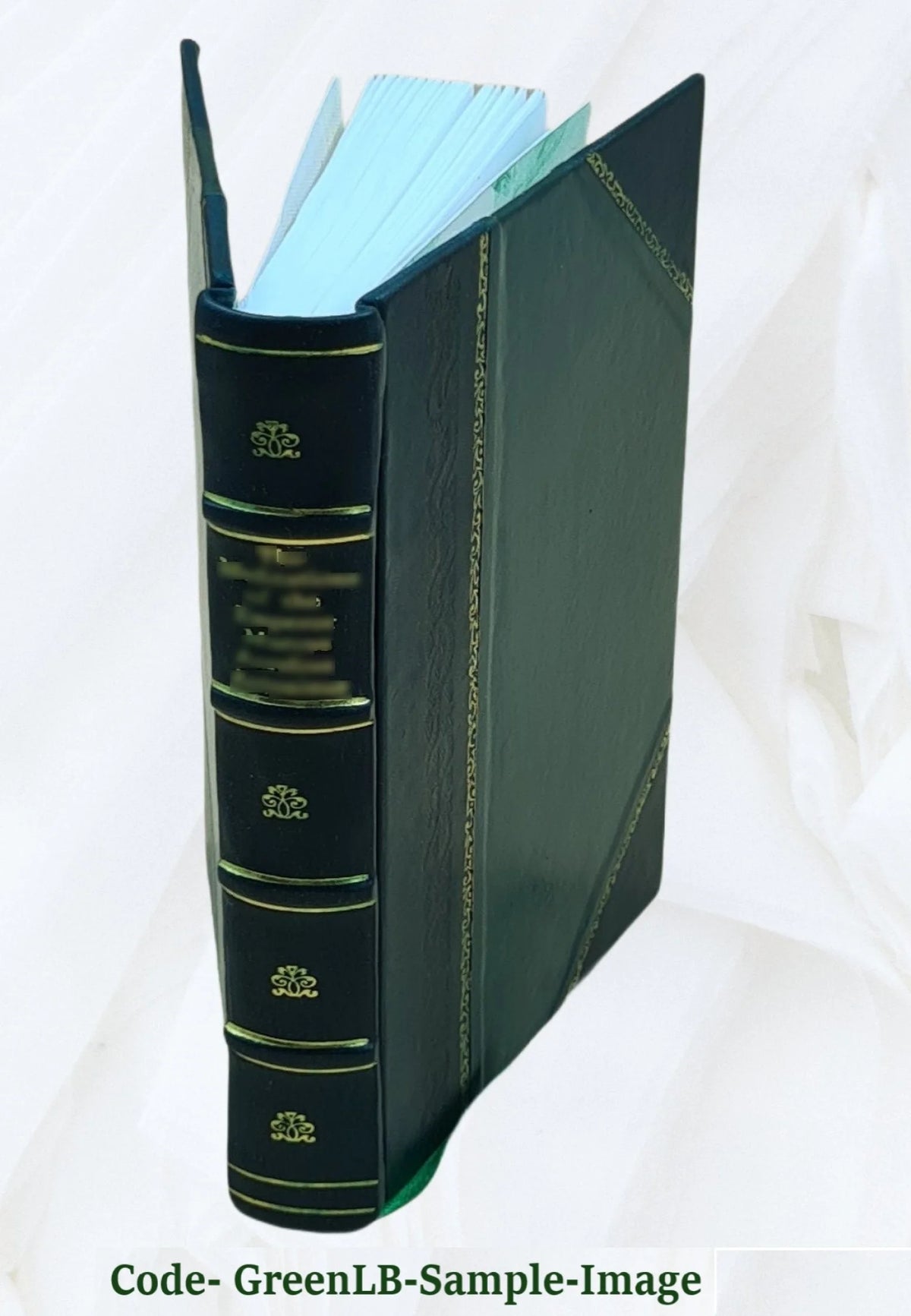 Leather Bound Book K546071