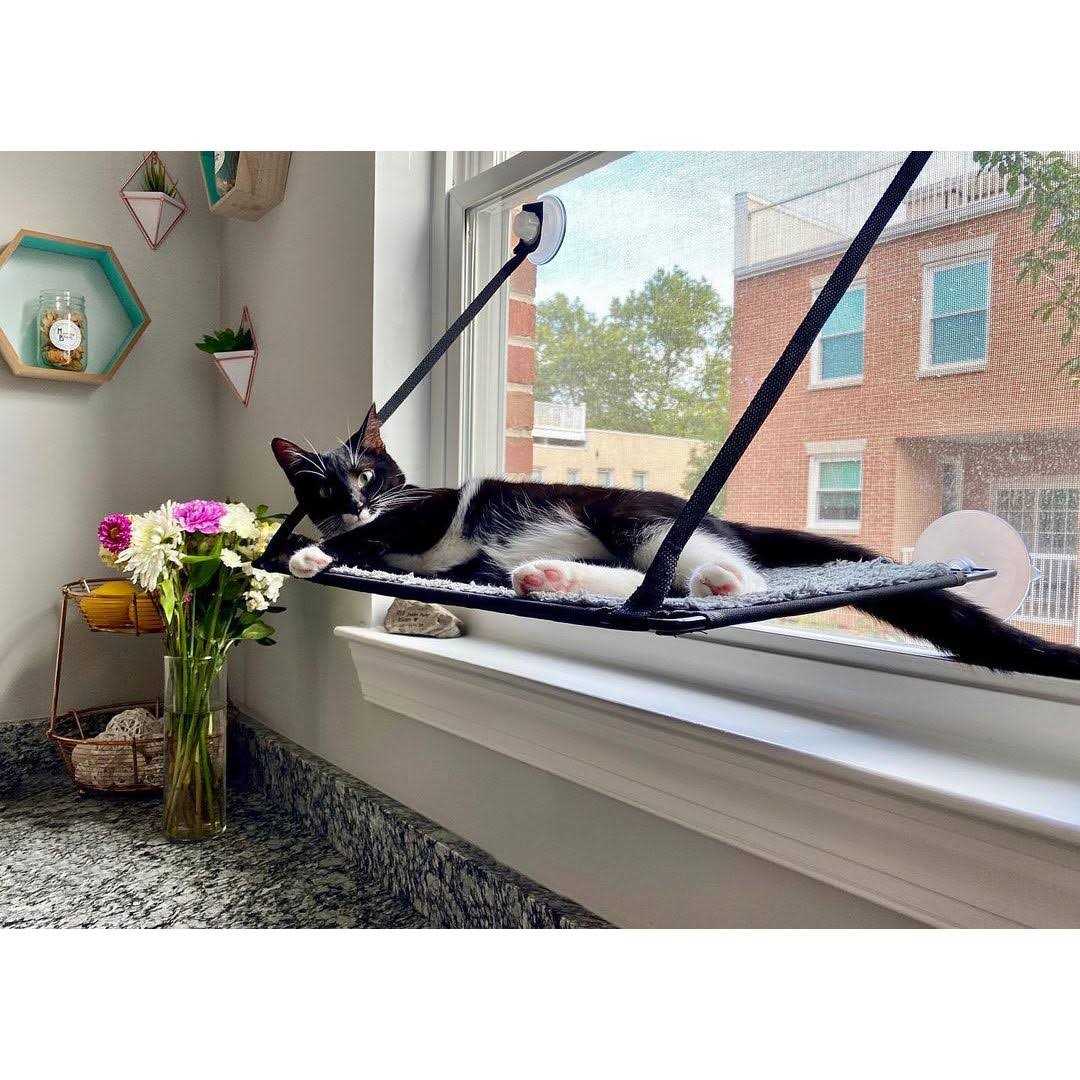 Window Kitty Sill B64002