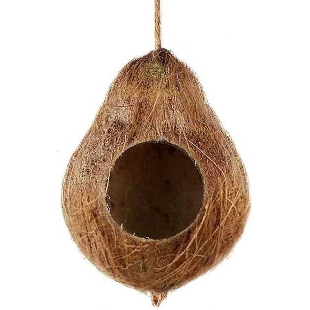 Coconut Hide A203