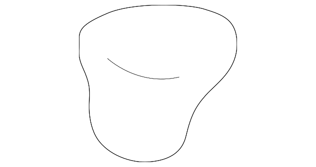 Shift Knob D210