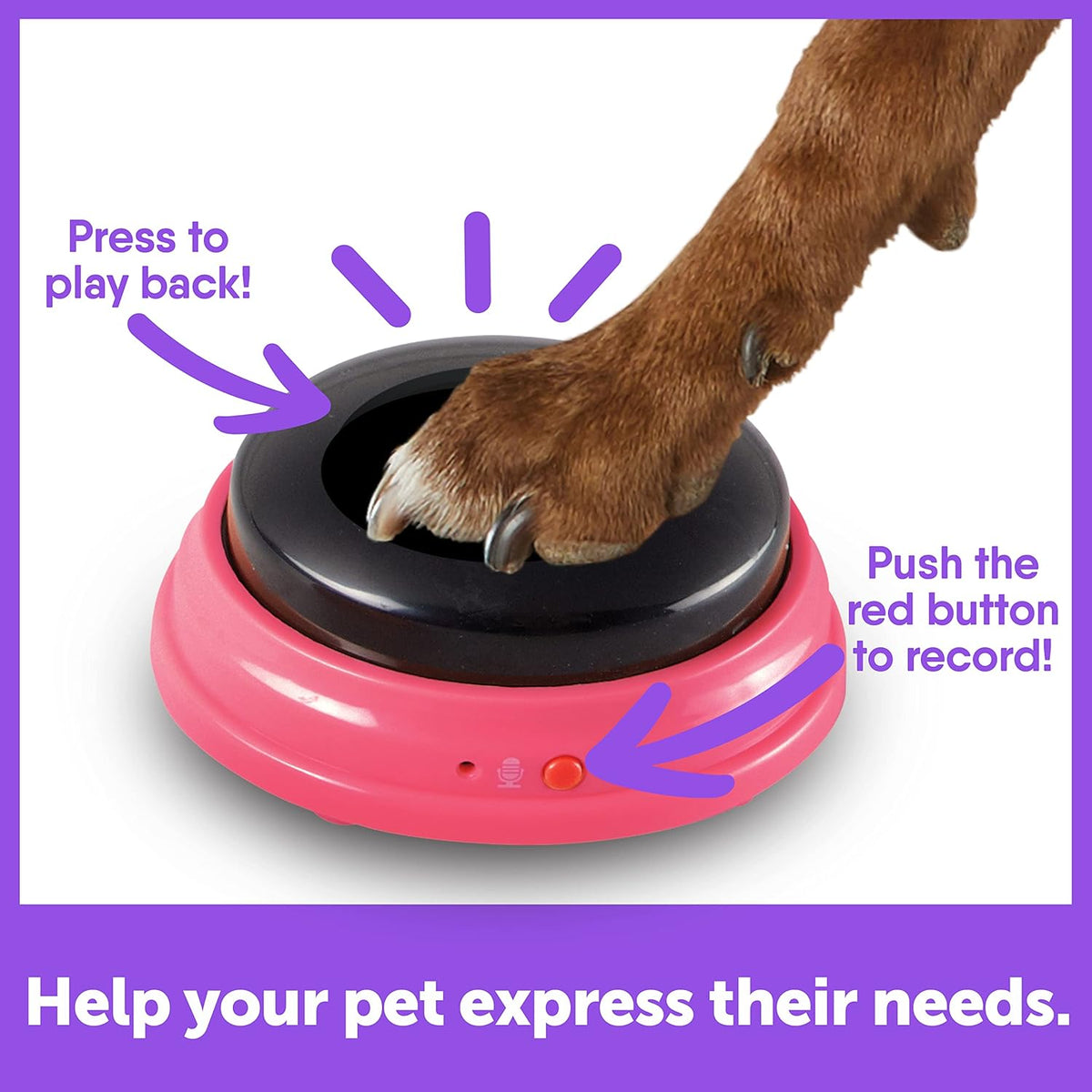 3 Piece Set of Recordable Speech Buttons for Dogs R148