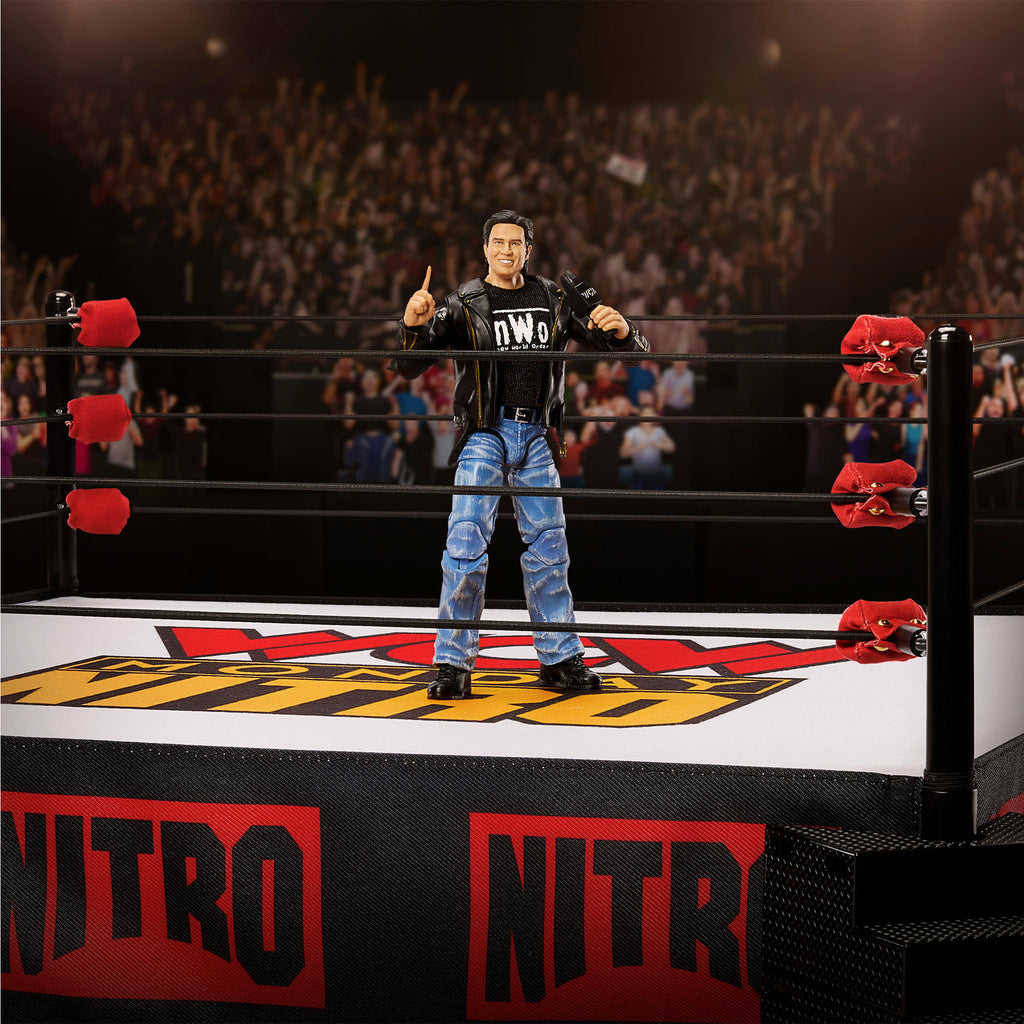 Wrestling Ring W42765