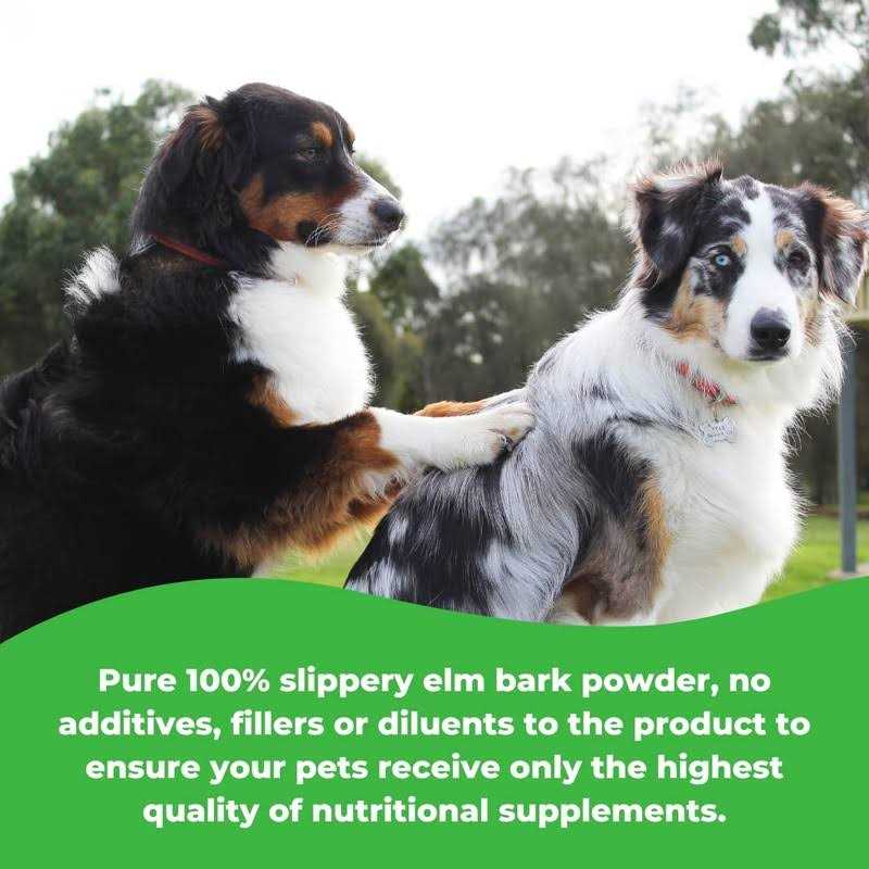 Slippery Elm Bark Powder U573