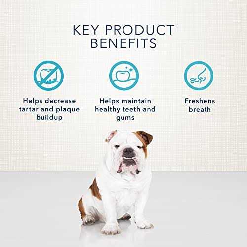 Dental Bones Dog Treats F7554