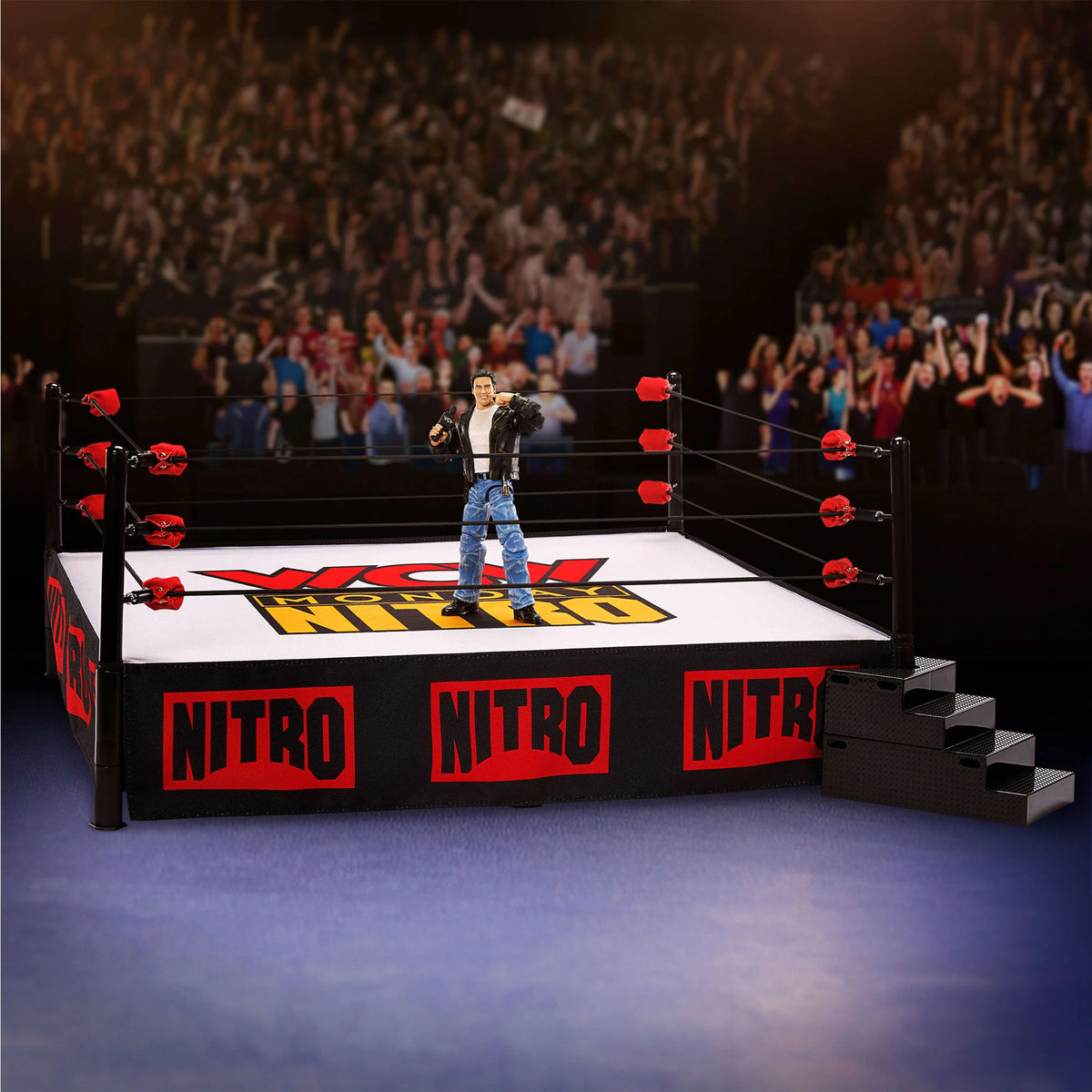Wrestling Ring W42765