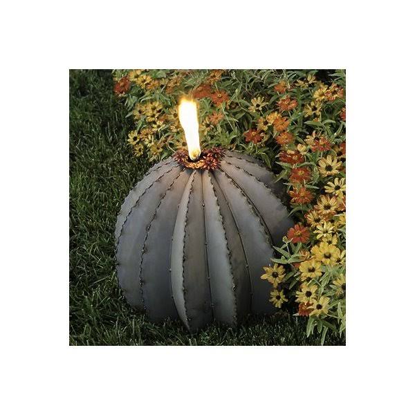 Golden Barrel Cactus Torch C3927