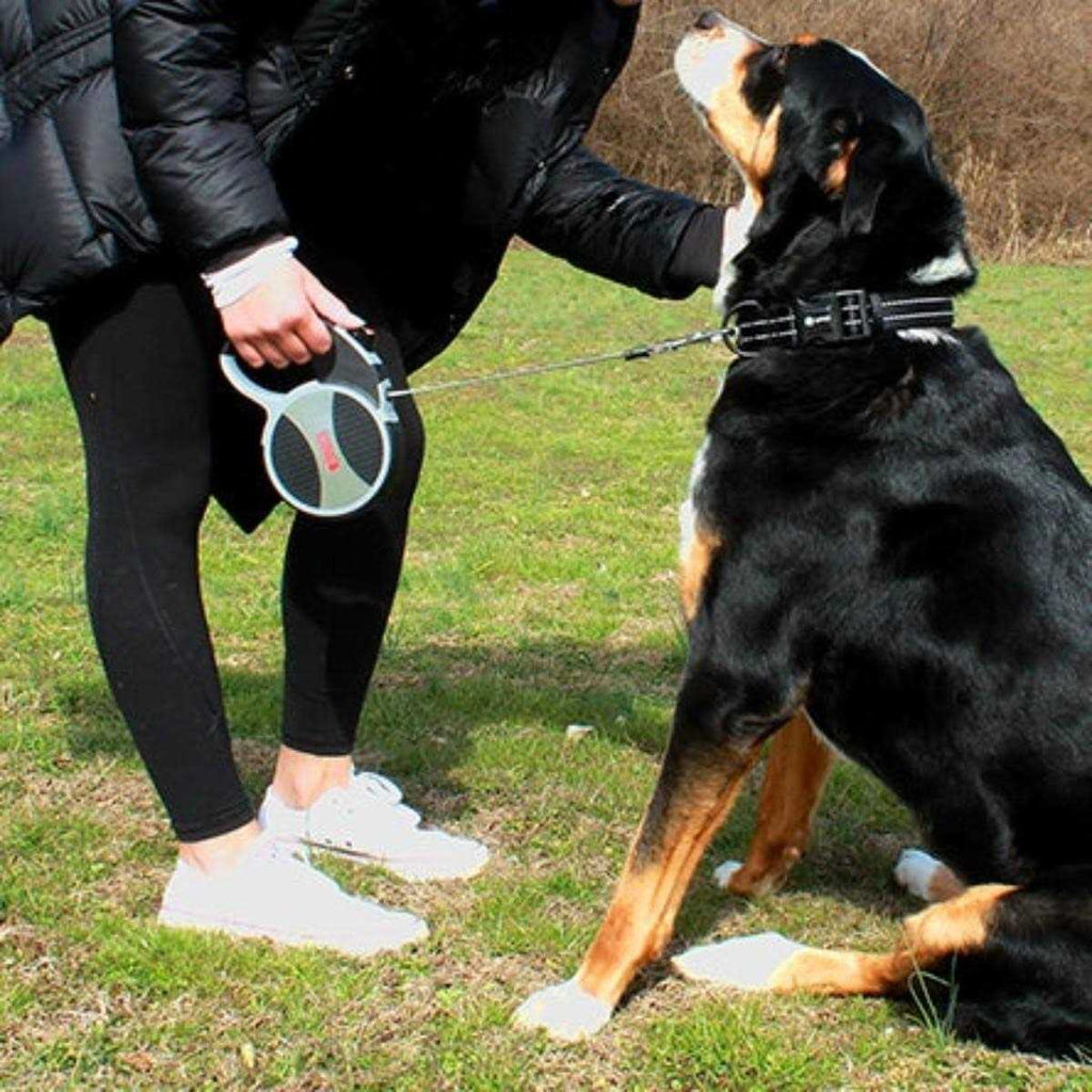 Retractable Dog Leash V687580