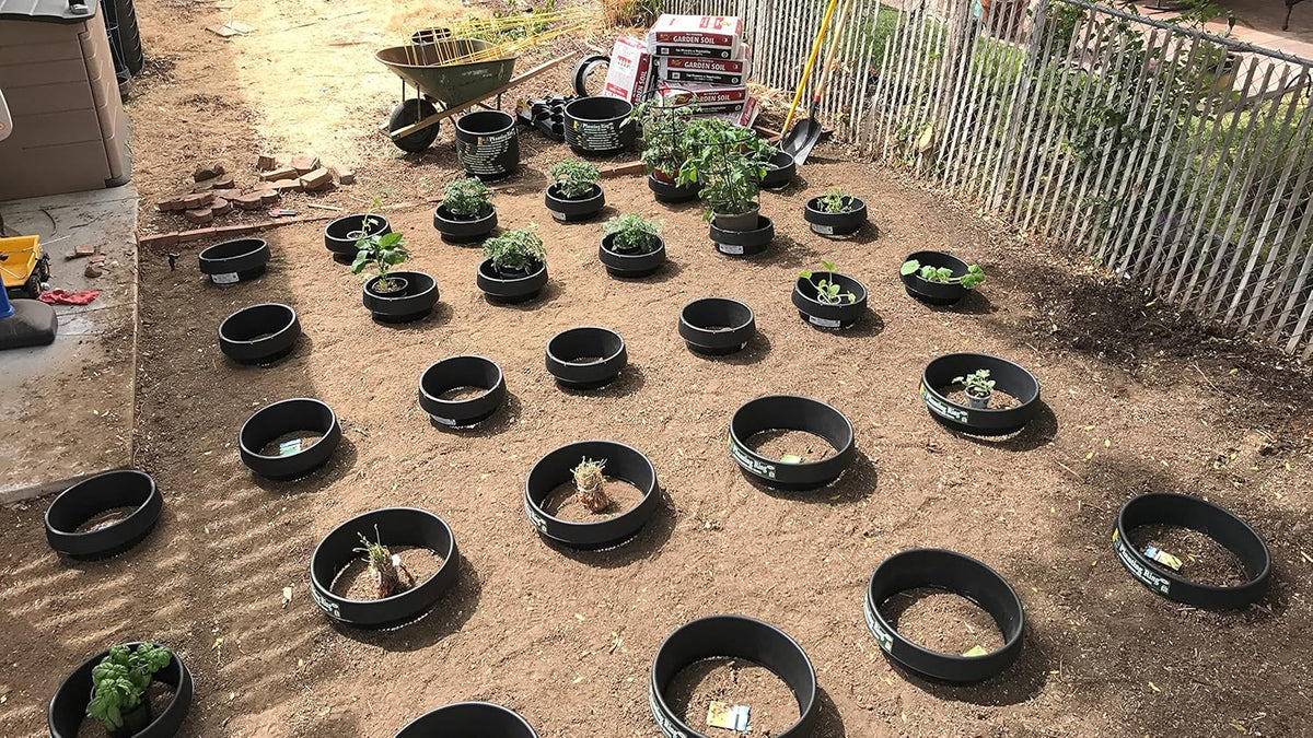 3 Pack 16 in Planting Rings L44668