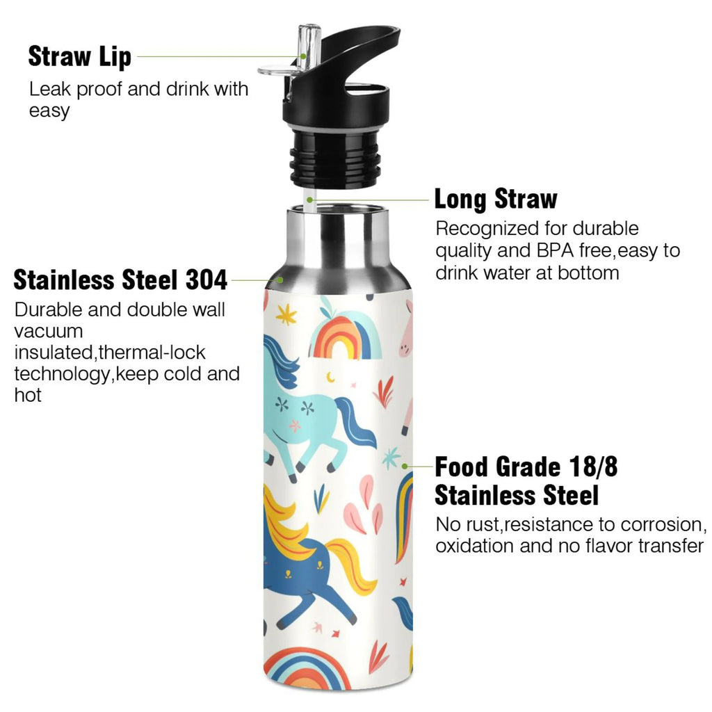 Insulated Stainless Steel Water Bottle with Straw Lid, 20 oz T1692