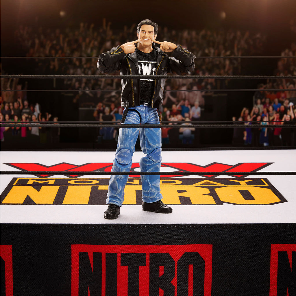 Wrestling Ring W42765