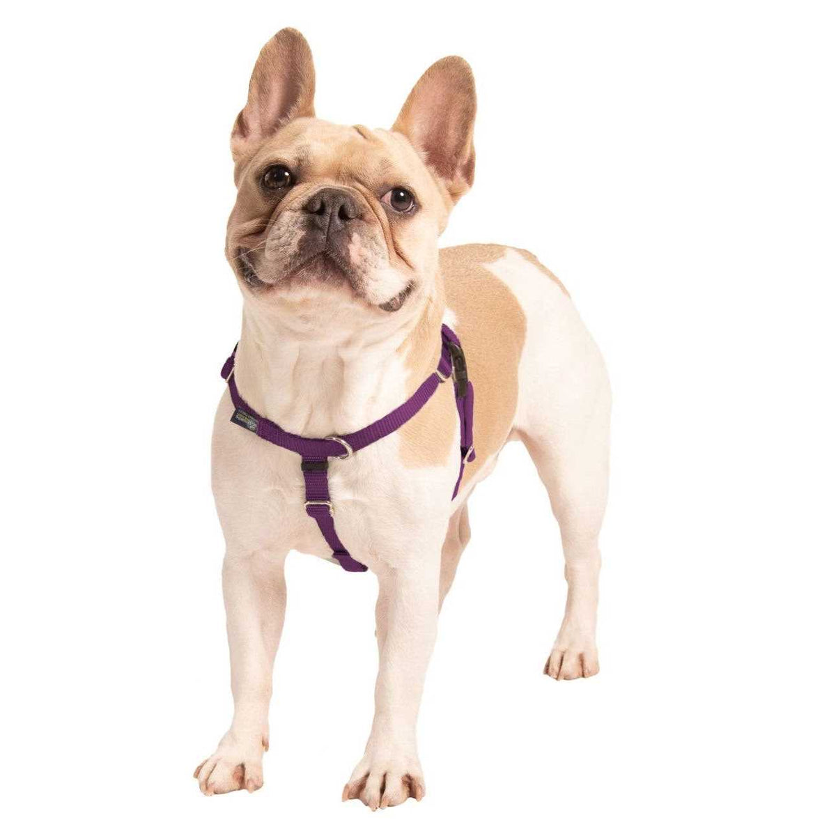 No Pull Dog Harness Leash Z8743