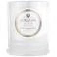 Suede Blanc Classic Candle 9.5 oz W863