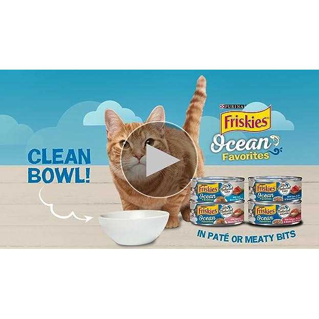 Wet Cat Food Y151657