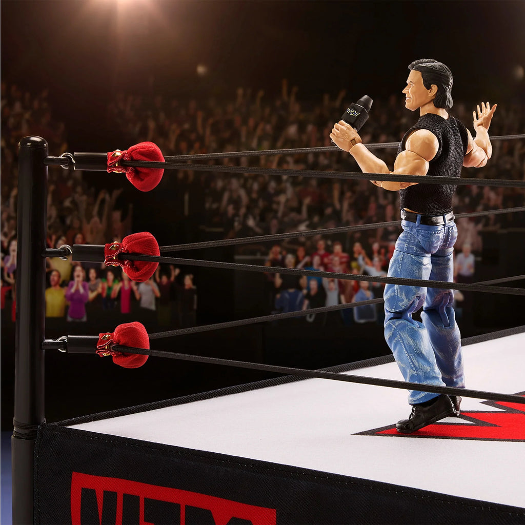 Wrestling Ring W42765
