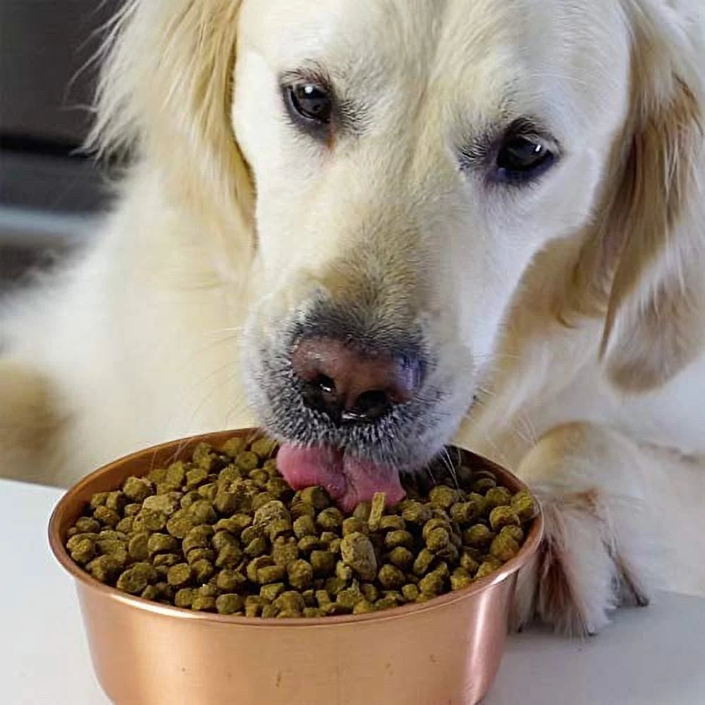 Grass-Fed Beef & Ancient Grains Dry Dog Food, 4 lbs S58145