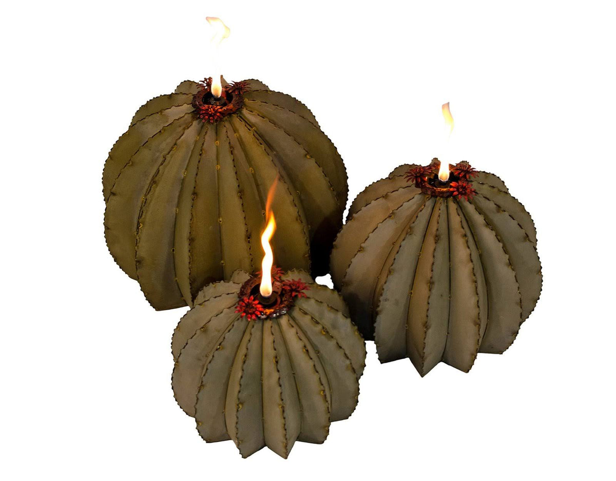 Golden Barrel Cactus Torch C3927