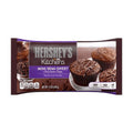 Semi-Sweet Chocolate Mini Chips, 12 Oz N170