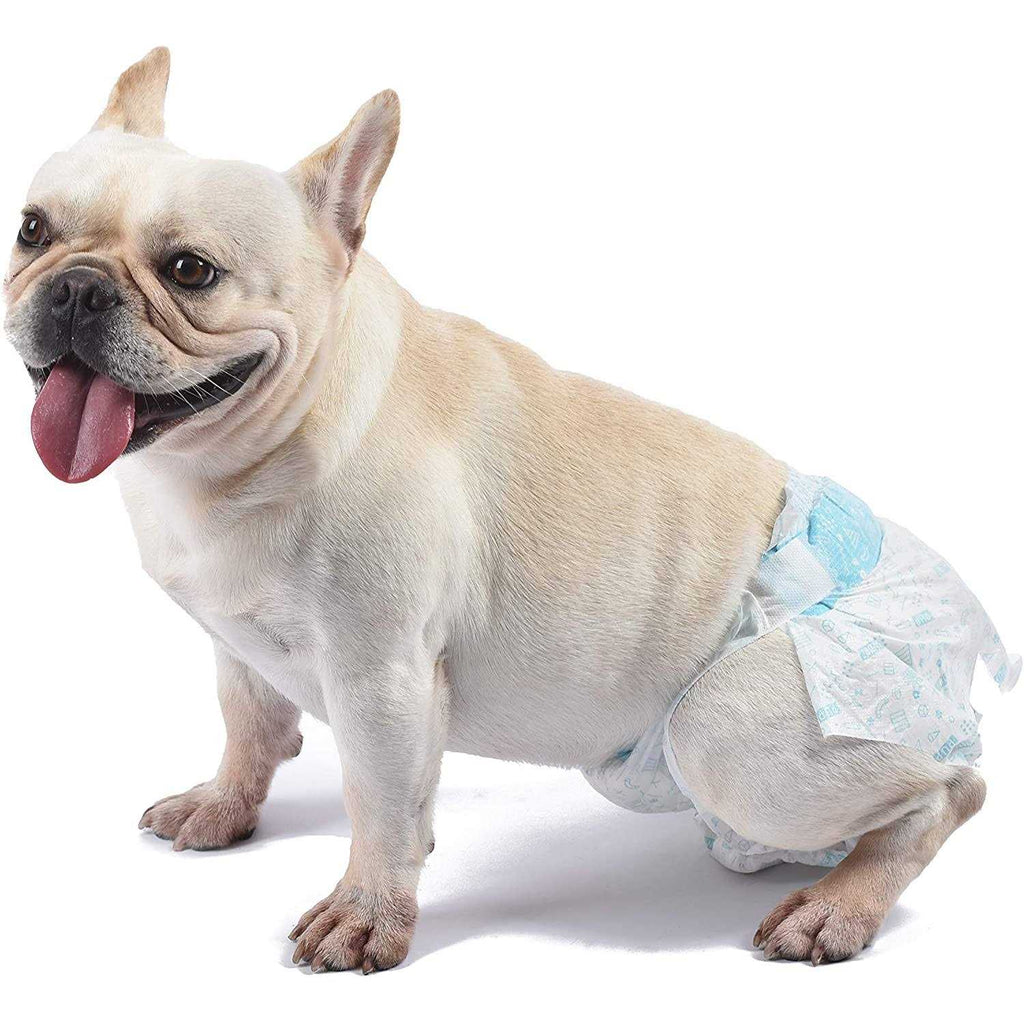 Female Dog Diapers P913
