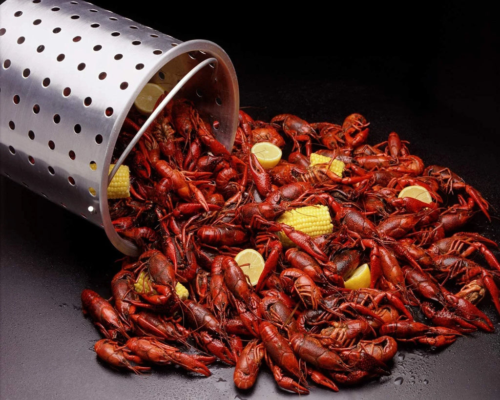 10 Qt Propane Outdoor Fish Fryer Set L4625