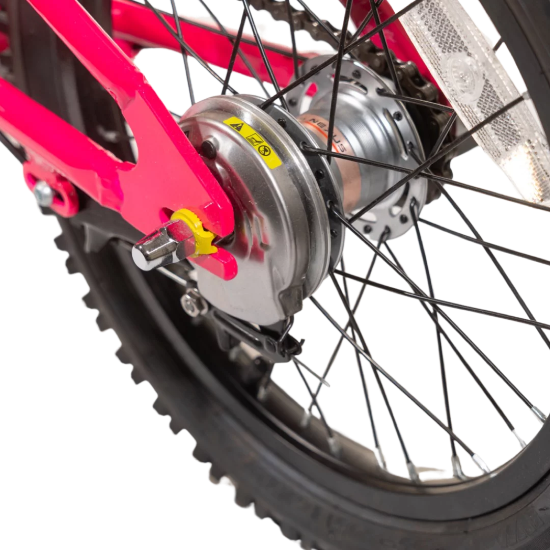 16 Inch 3 Speed Kids Bike with Internal Gears A556392
