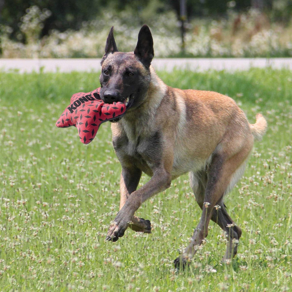 Dog Toy S2359