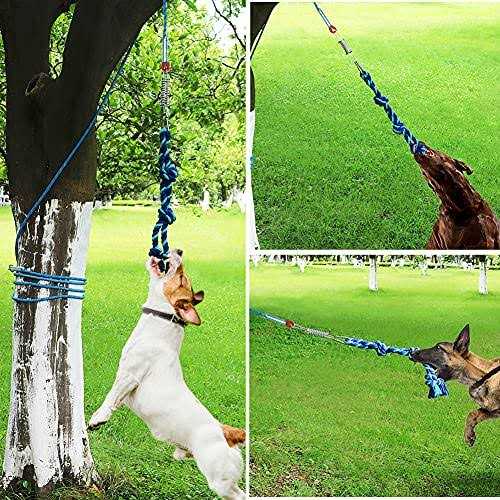 Bungee Dog Tug Toy N2564