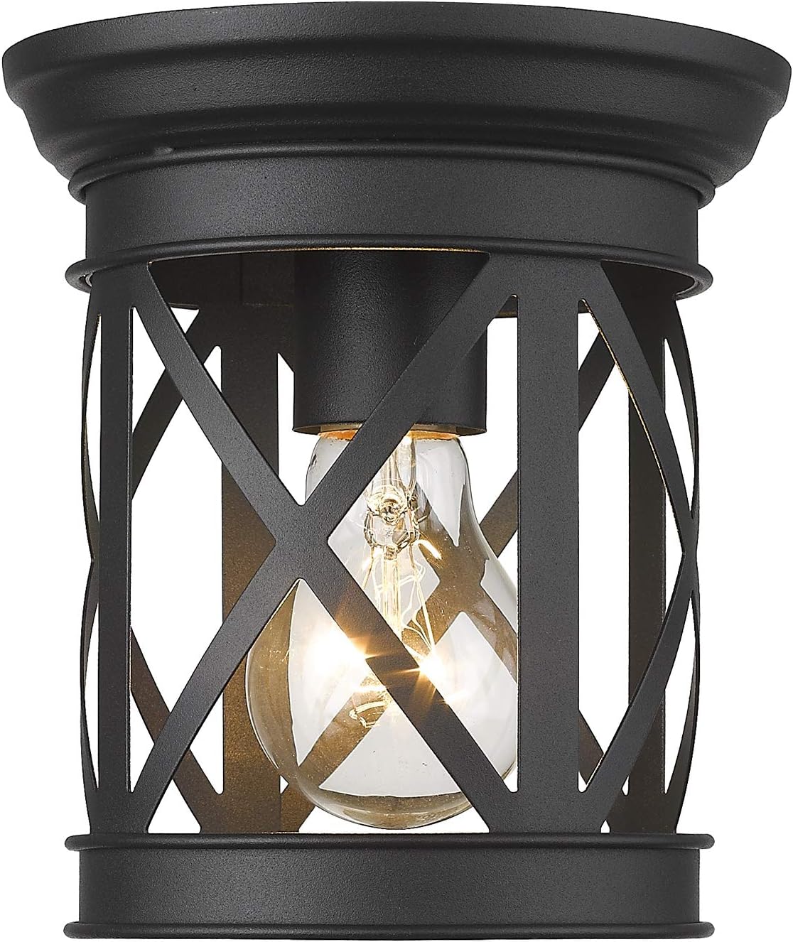 Black Metal Cage Flush Mount Ceiling Light K297