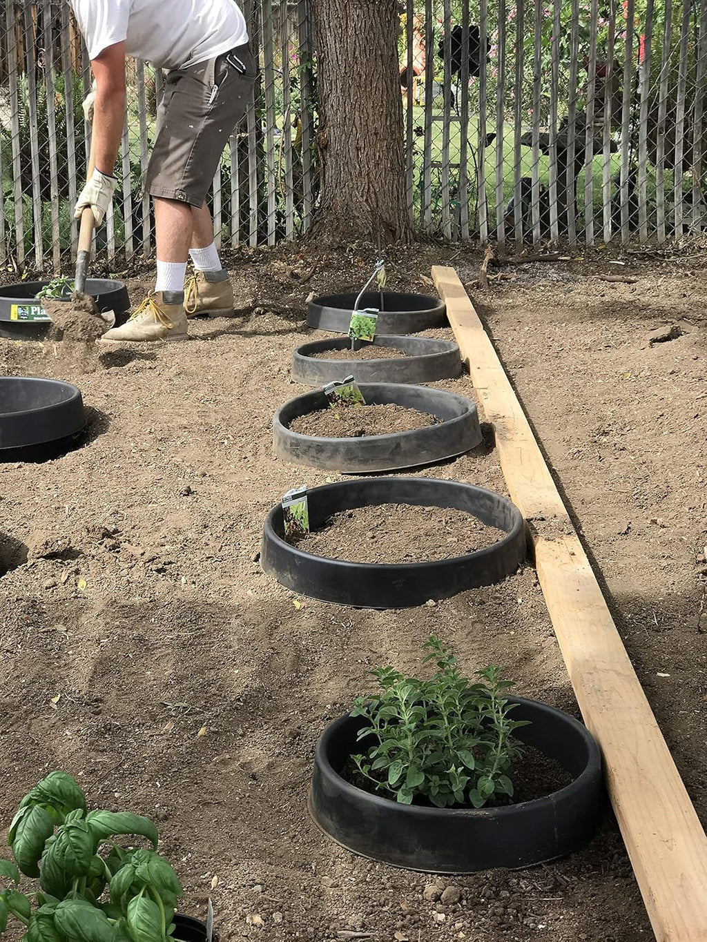 3 Pack 16 in Planting Rings L44668