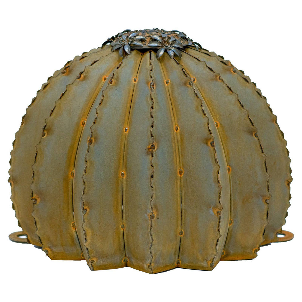 Golden Barrel Cactus Torch C3927