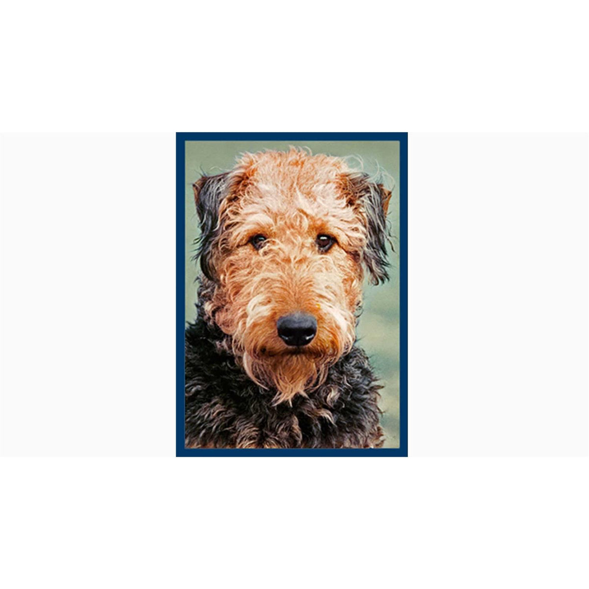 Dental Bones Dog Treats F7554