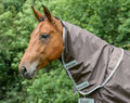 Chocolate Neck O38577