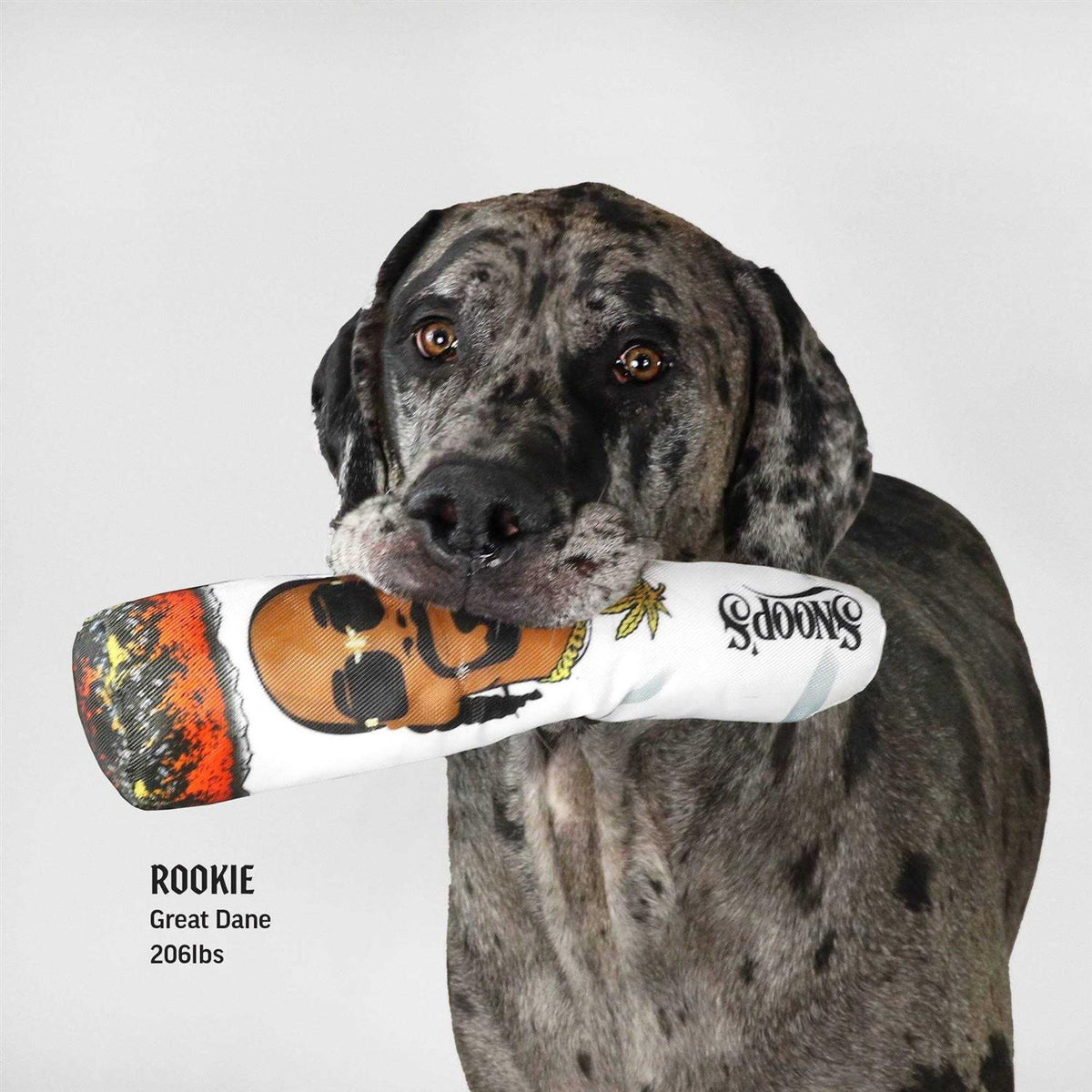 Doobie Dog Toy K629