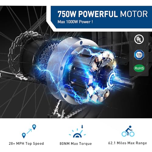 1000W 48V 13Ah Fat Tire Electric Bike H1696