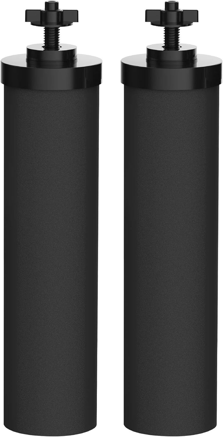 Black Water Filter, Pack of 2 J37373
