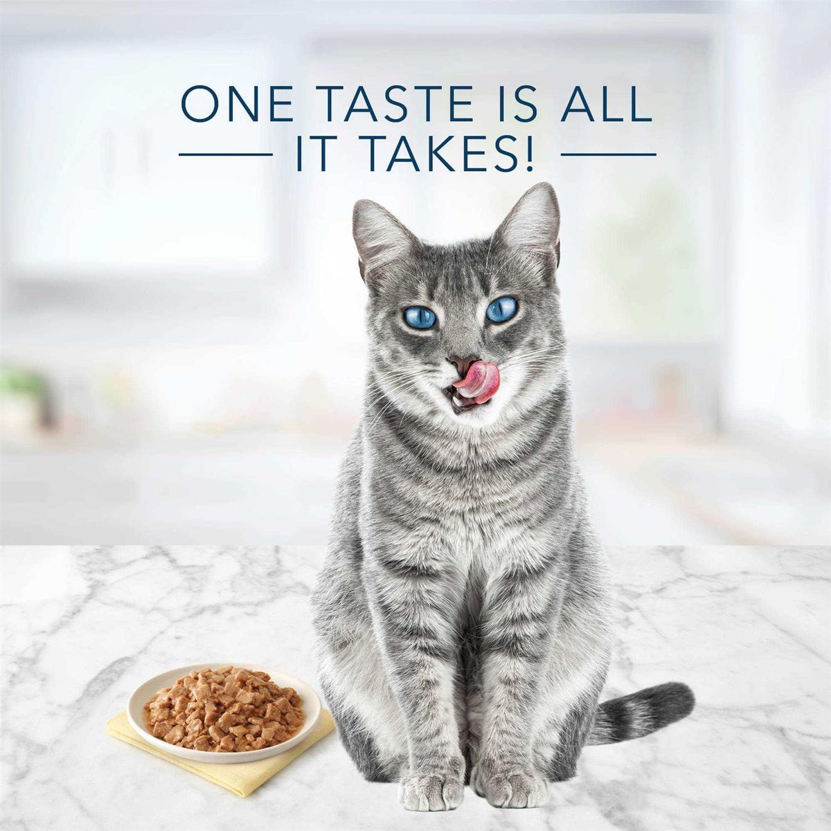 Tuna Chicken Fish Shrimp Flaked Wet Cat Food I6950