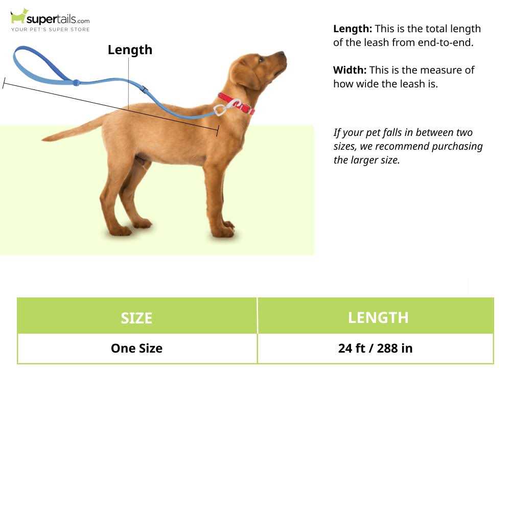 Retractable Dog Leash V687580